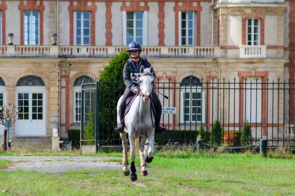 PENSIONS CHEVAUX