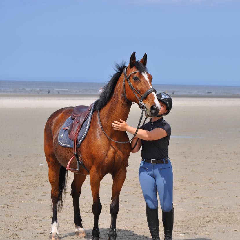 BALADE A CHEVAL