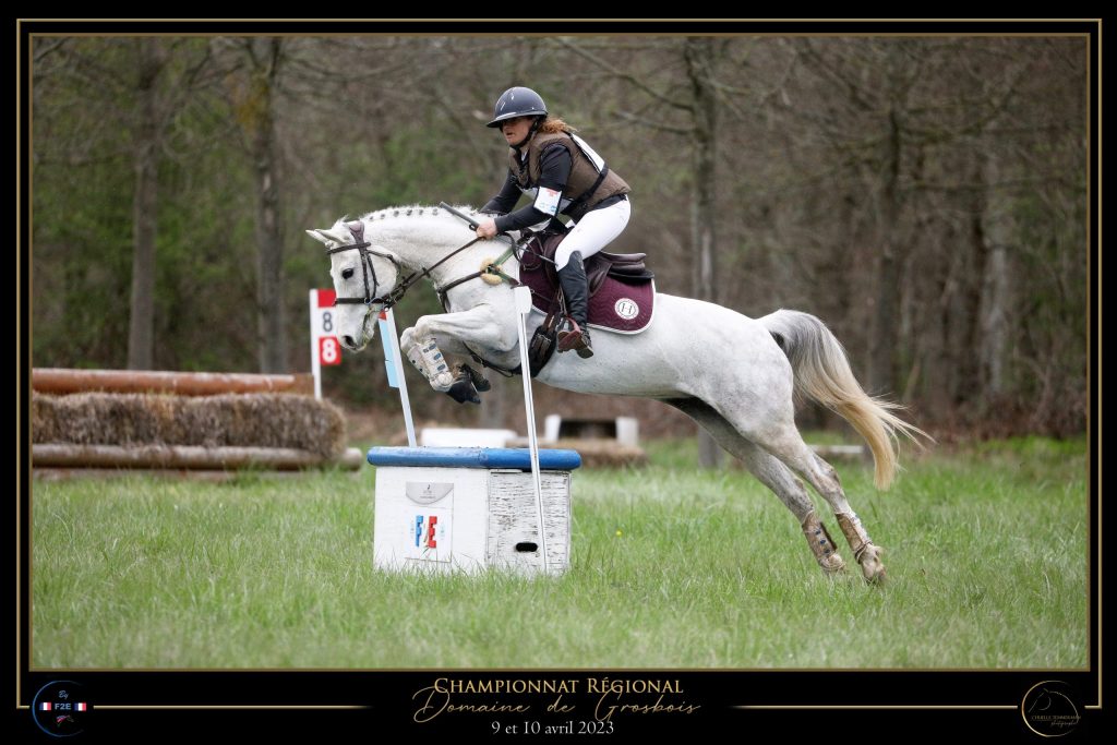 CONCOURS COMPLET CHEVAUX