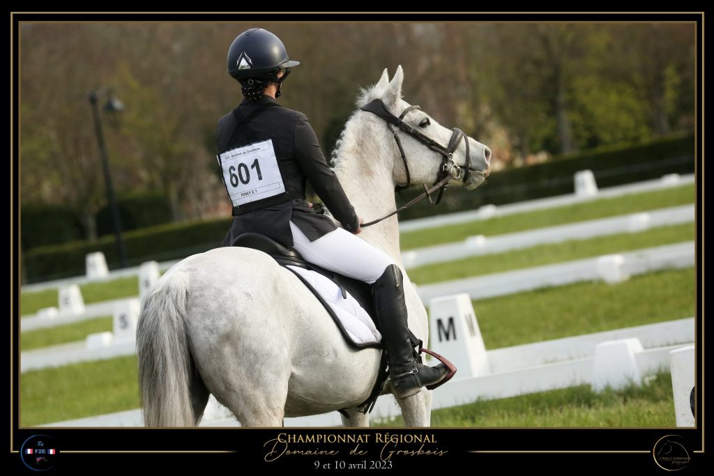 DRESSAGE CHEVAUX