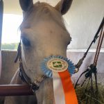 CONCOURS COMPLET CCE